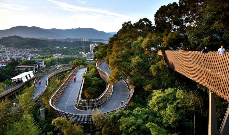 步道以1:16的无障碍标准设计,每16米升降1米,公众走得轻松,景观层次丰富。