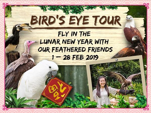 《鸟瞰导览之旅:农历新年特别呈献》.jpg