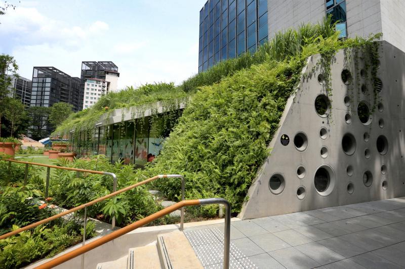 从二楼攀爬到二楼半露出一小间作为咖啡座用的店面,周围爬满本地热带植物,像是露出一角绿油油的山丘。