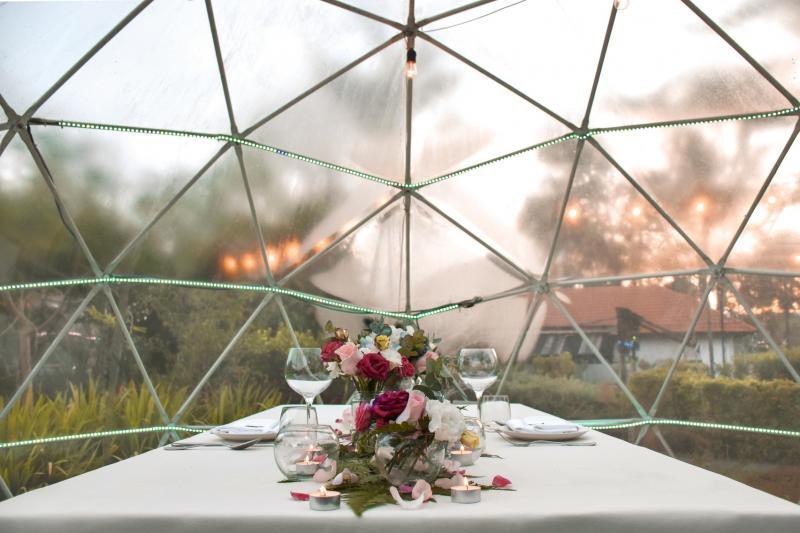 仿佛置身国外,充满浪漫氛围的The Summerhouse透明花园拱顶空间。(The Summerhouse)