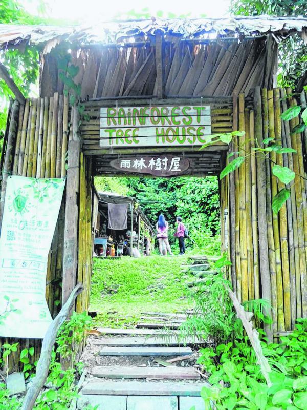 雨林树屋， 独树一帜。