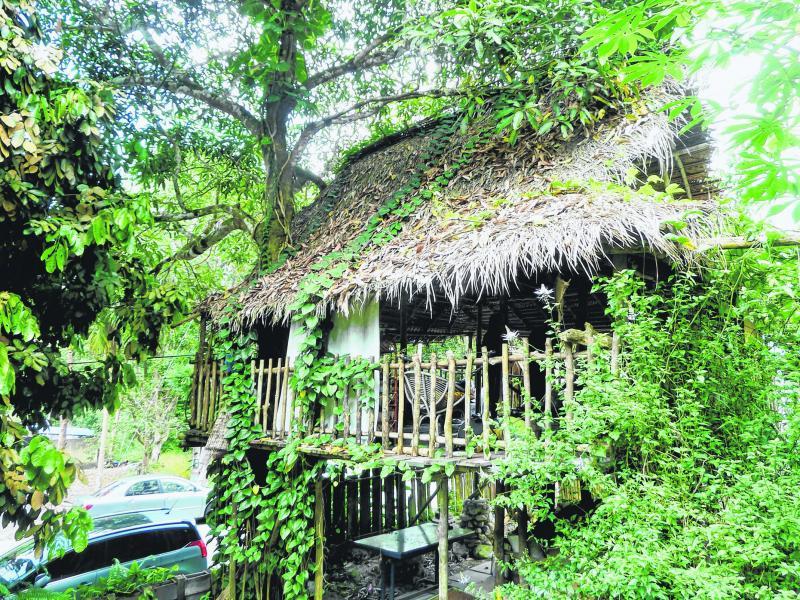 靠近路边停车场的“行政树楼”。