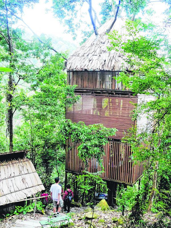 倚着雨林中的树木而筑的树屋。