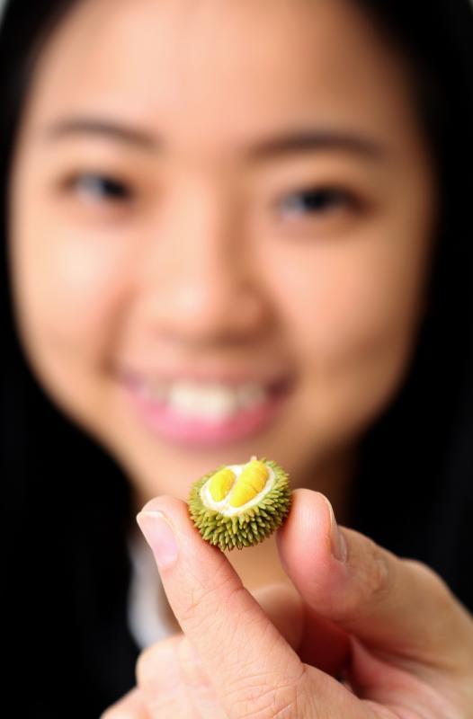 这个袖珍榴梿模型，需近20小时制作。（龙国雄摄）