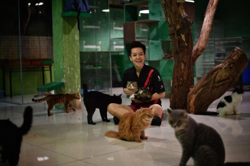 黄琳芷是猫福利协会（Cat Welfare Society）代言人，向人们传达爱护猫咪的信息。（档案照）