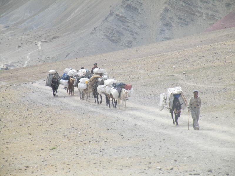 行走在通往Tingmosgang大山里的马帮和转山的村民。