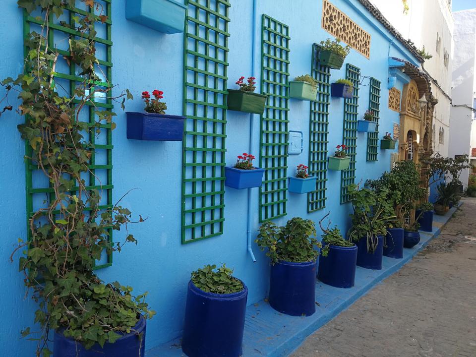 20190530_zbnow_morocco5_Medium.jpg