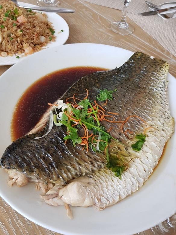 澳大利亚肺鱼的肉质厚实鲜嫩，中式清蒸或西式香煎都适合。（档案照）