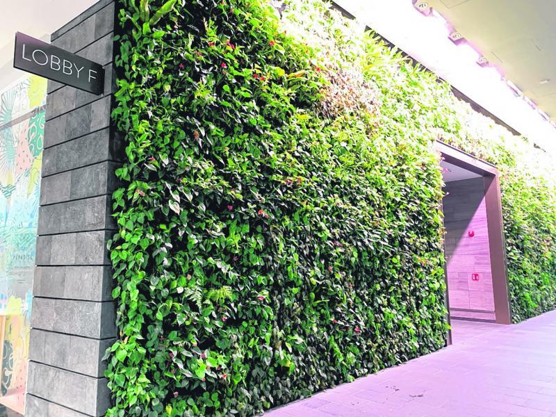 星耀樟宜绿意处处，让人感觉舒适自在。