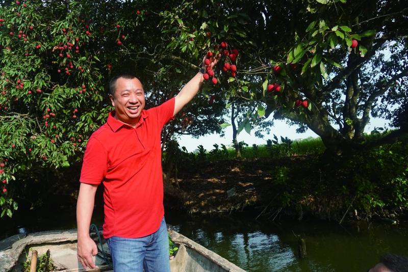 莆田餐馆创始人方志忠深耕莆田食材,图为他在莆田双福村访寻老树荔枝。