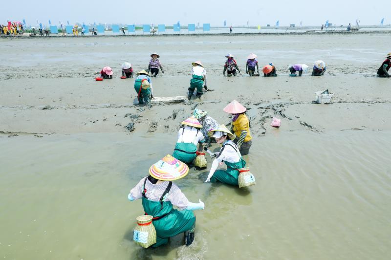 记者亲自体验蛏农的辛劳,脚一踩入蛏池便寸步难行。