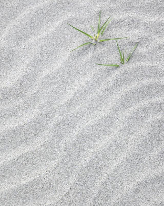 《阈限区》照片精选·Sand Harmonics(“沙子谐波”)摄于2010年,岛国某个岸边,沙子被风吹出花纹,可惜下午2时的阳光太强,谢恩赐原本以为拍不出理想的画面,没想到云朵忽然飘过,挡住光线,他赶紧抓住拍摄机会。(谢恩赐提供)