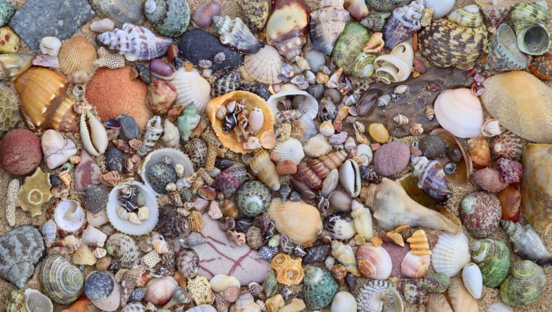 《阈限区》照片精选·Nature's Palette(“大自然的调色板”)2010年摄于拉柏多(Labrador)自然保护区,相机位置换了20次拍出70张照片,再用电脑软件把所有照片“缝”在一起,后制时间至少数百个小时,才形成这幅色彩斑斓,细节丰富,像素达1亿7700万的天然调色板。(谢恩赐提供)