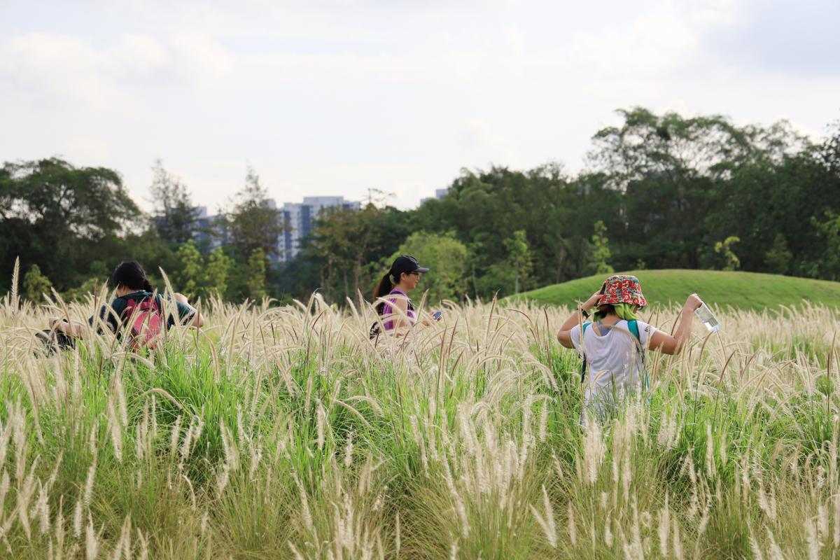 20190626_zbnow_canon1_Large.jpg