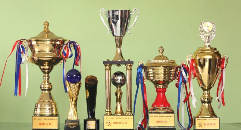 这些年来洪榅胜在海内外获奖无数,更为自己赢得“金牌教练”的美誉。