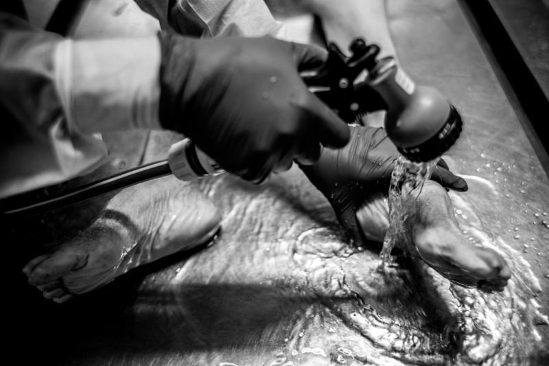 ​ 为逝者作清洗。