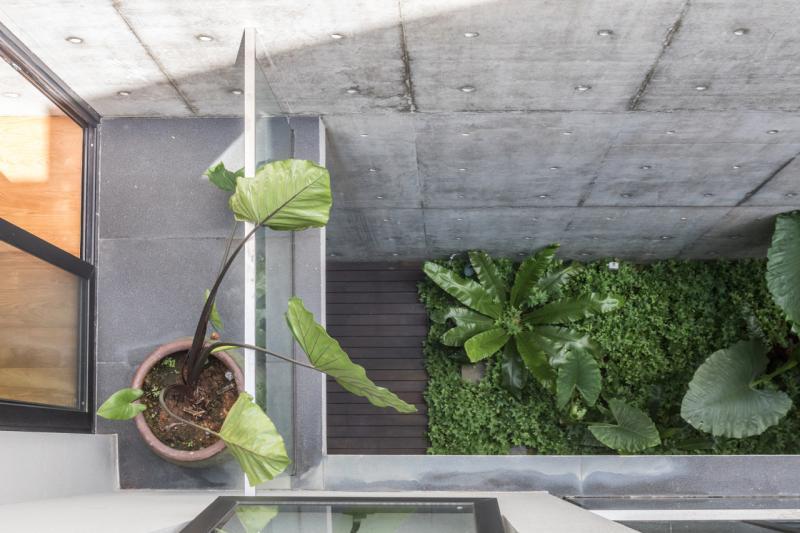 向上望去的露天花园，12米高的清水泥墙与建筑形成有如“一线天”的美景。