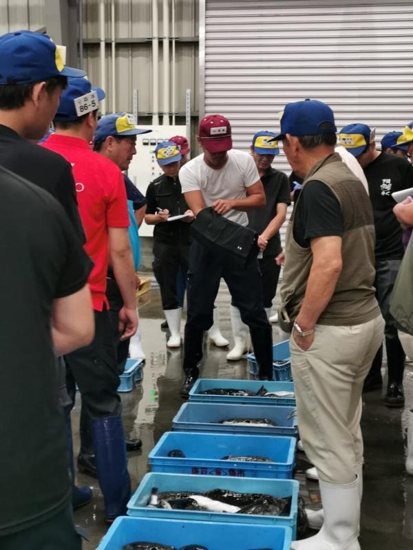 河豚拍卖场的主持人手套着黑色布套,潜在买家伸手进去出价。