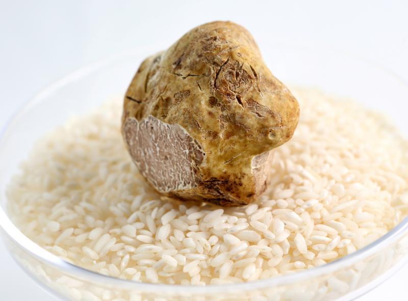 白松露的保鲜期很短。