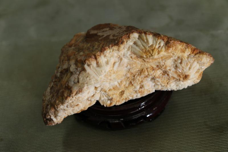 花县因花山得名，会馆至今仍保存一块花山石块，纹路犹如一朵朵黄菊花。（陈来福摄）