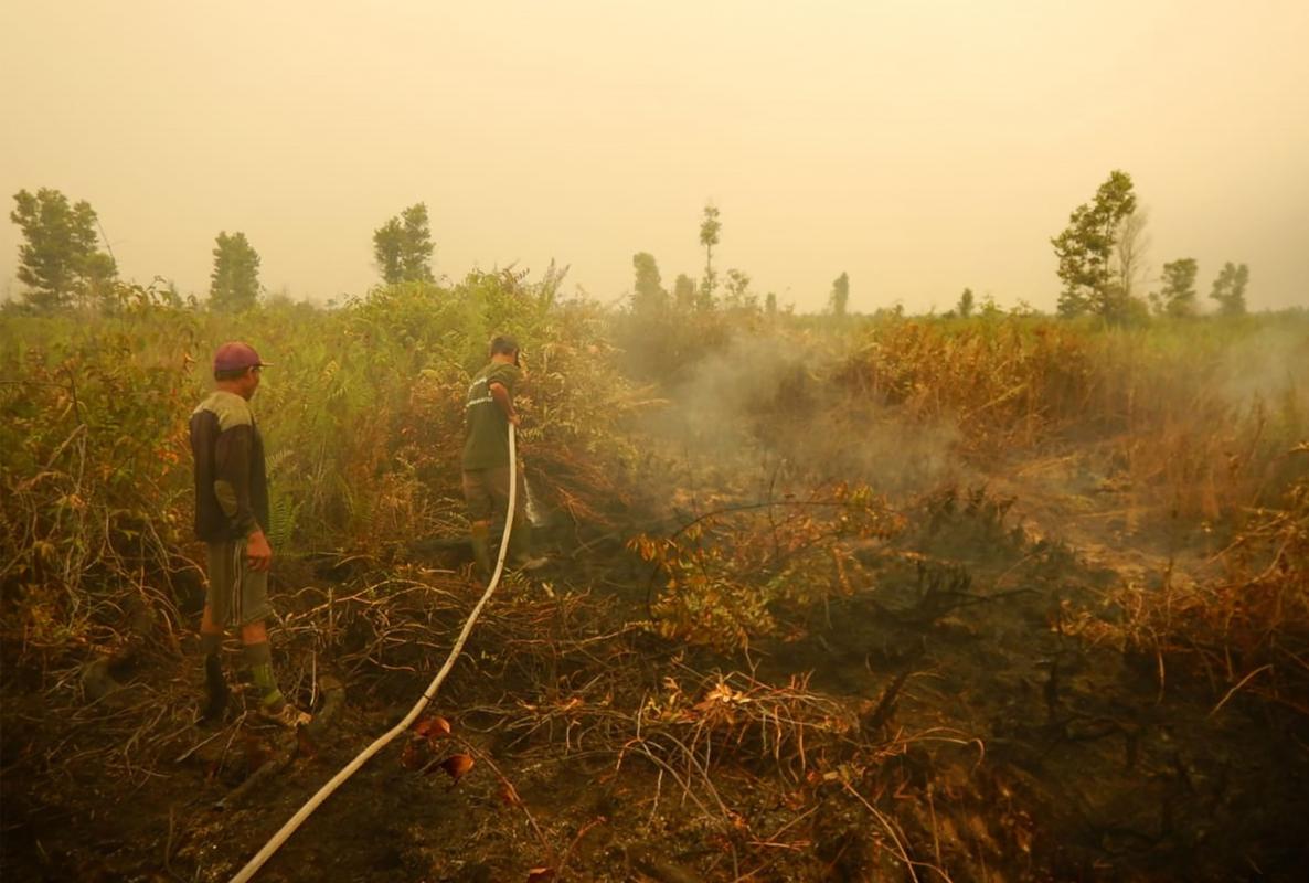 20191120_news_forestfire_Large.jpg