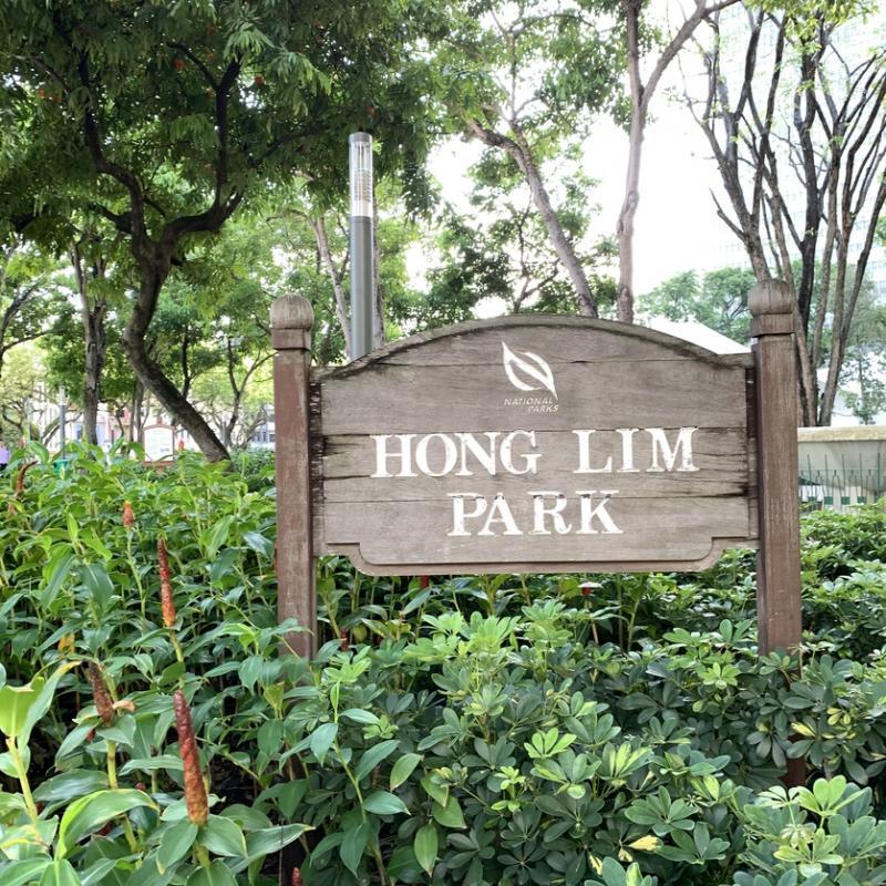 原名芳林埔(Hong Lim Green),60年代改建后易名芳林公园(Hong Lim Park)。