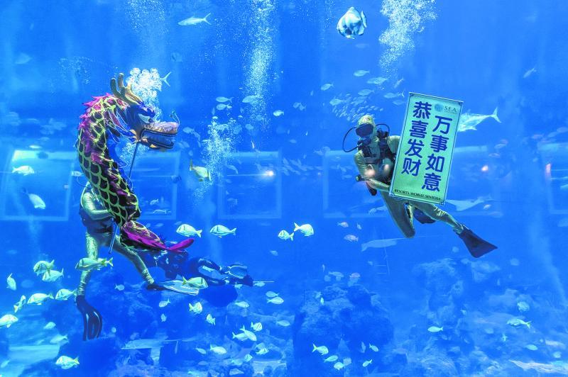 S.E.A.海洋馆的海底舞龙表演。(圣淘沙名胜世界提供)