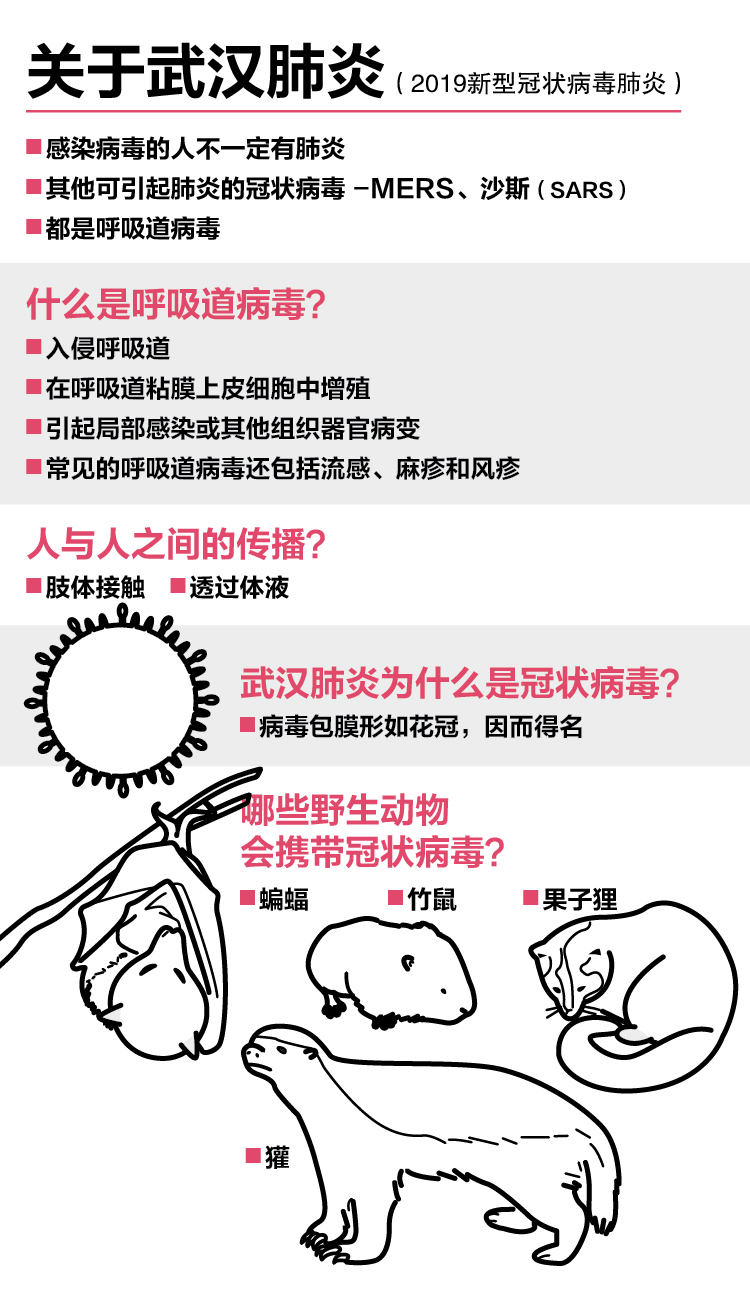 wuhan_virus_graphics_part01-01_Large.jpg