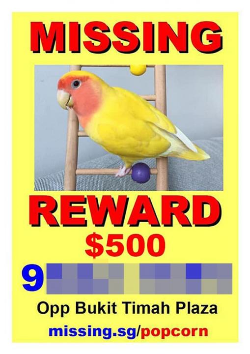85117091_10157988010052429_146133500582428672_m.jpg