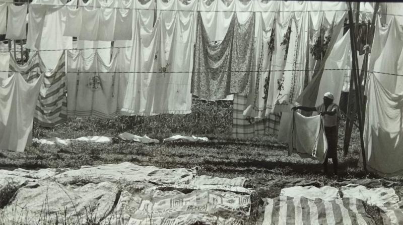 可以想象,铺回床上的床单飘出丝丝青草香。