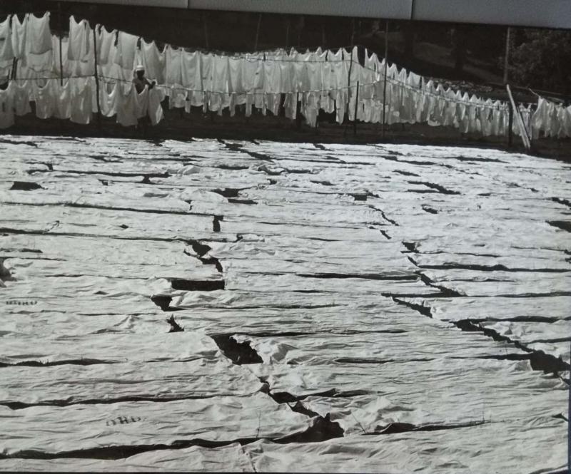 草地上的被单:很多人都错过了旧日印度洗衣工在草场、空地曝晒床单、衣物的壮观场面。新加坡中央医院后面曾是一片辽阔空旷的青草地,何国坚的镜头拍下了洗衣工把医院床单、被单、枕头套洗净后铺在草地上曝晒的珍贵画面。