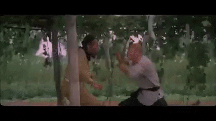 giphy_2.gif