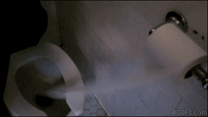 giphy_8.gif