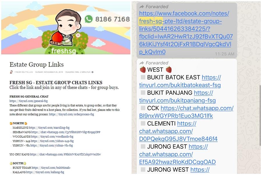 freshsgwa_Large.jpg