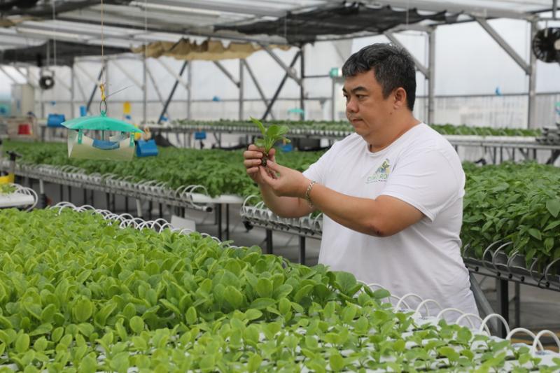 天台农场茂丰创办人兼主席林宜谦希望尽快扩充菜园。(档案照片)