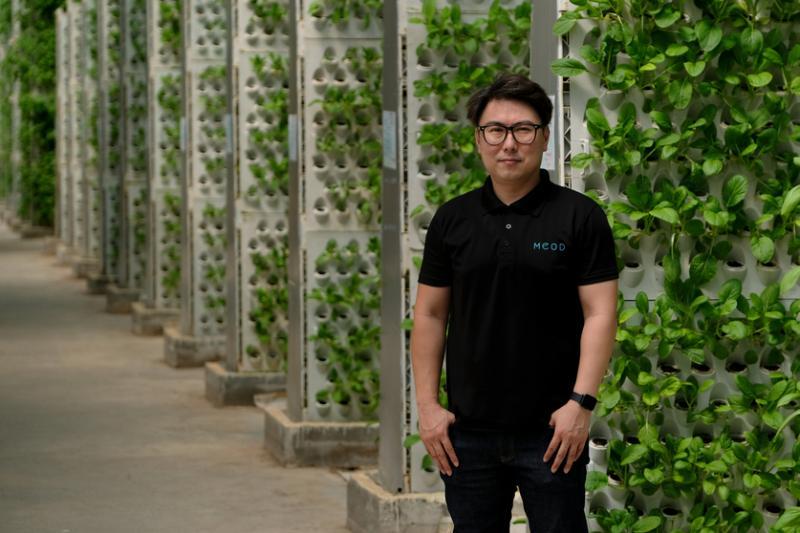 MEOD的行销经理赖建彬强调,菜园拒绝化学农药,也特别注重营养。