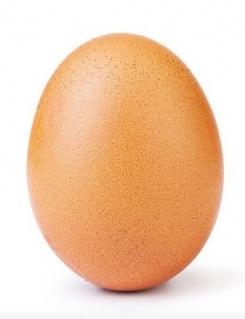 我国超过七成鸡蛋来自马来西亚。