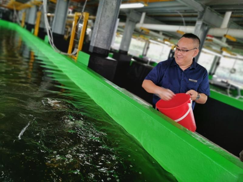 阿波罗集团第二代掌舵人黄伟杰:养鱼是一种承诺。(档案照片)