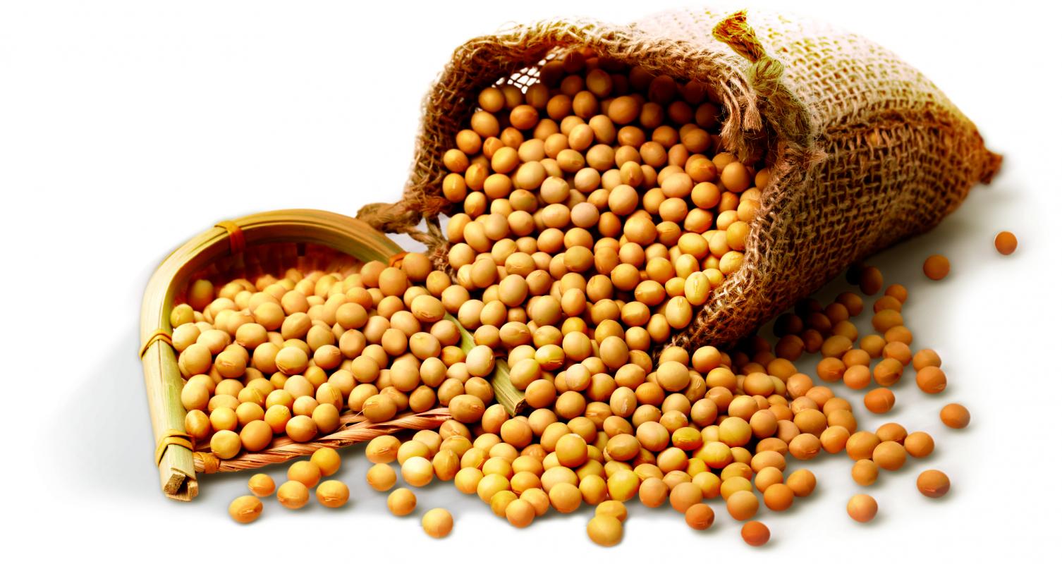 20200811_lee_kum_kee_soybean_Large.jpg