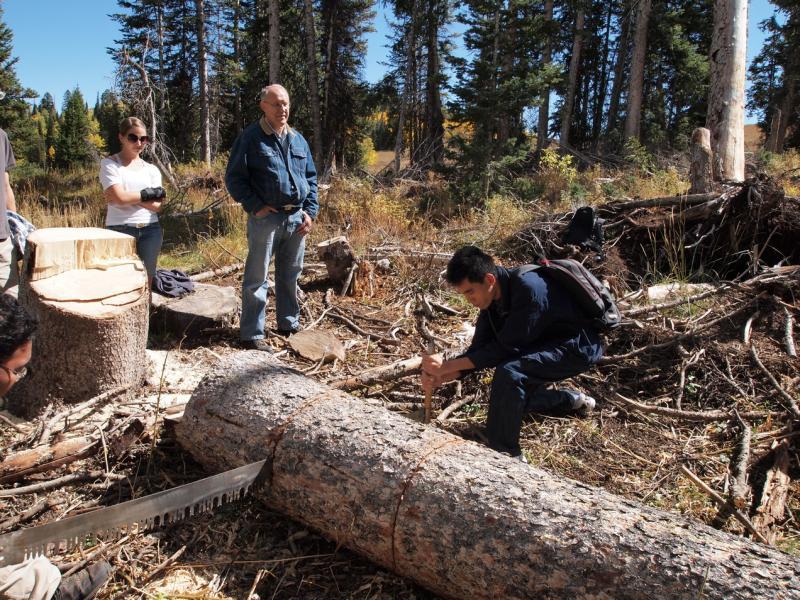 挑选制琴的木料也是一门学问,图为王韶军(右)在美国选木锯木。(受访者提供)