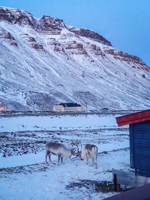 20200910_news_smnorthpole3_Small.jpg