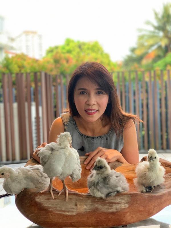 几个星期前开始养鸡的陈芳婷认为,养鸡除了有疗愈作用,也能增进亲子情感。(受访者提供)