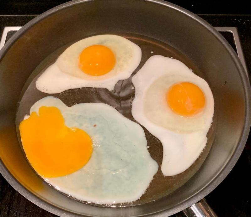 完整蛋黄的是来自宠物鸡的鸡蛋,蛋黄散开的鸡蛋来自超市。(许立桦提供)