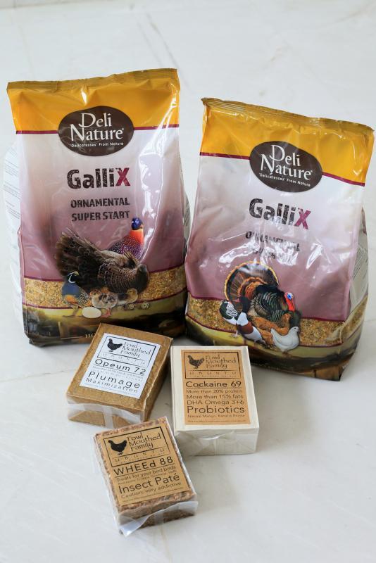 宠物鸡的饲料。(龙国雄摄)