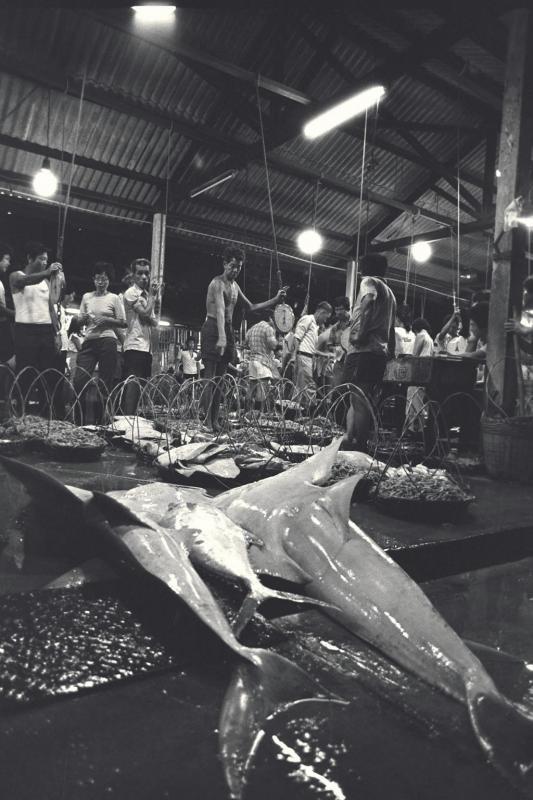 港脚渔市场为后港巴刹提供了新鲜海鲜，1984年让路给后港和后来的盛港新镇。（档案照）