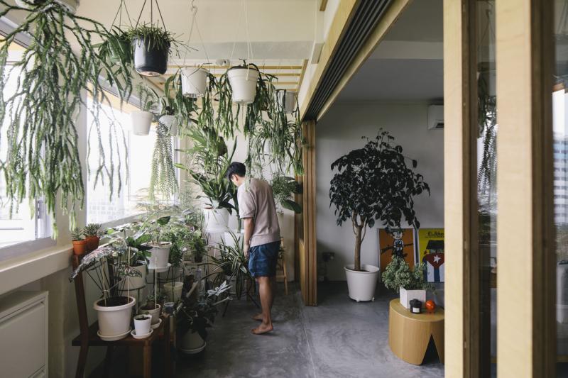 和大门、客厅窗户相连的室内绿屋是屋主专为他的绿室友打造的绿色天地,与窗外花葩山的郁葱相映成趣。