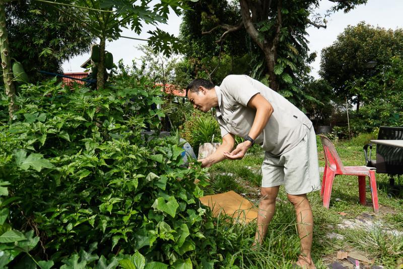 客工支国祥在菜园验收成果,他喜欢这里宽敞自由的居住环境。