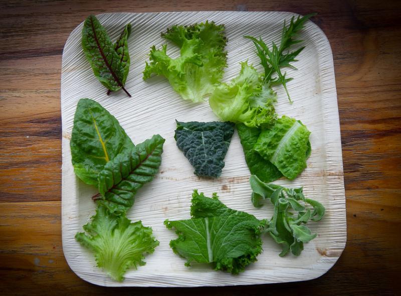 农业科技公司Archisen希望能提高公众对本地蔬菜的认识。