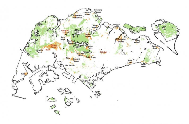 陈健雄根据2019年的总发展蓝图,以浅绿色标出现有林木地区,橘色是被规划为其他用途的树林和林地,红色是已经被清除或正在清除的林木。(受访者提供)