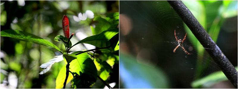 方俊强从小就对动植物感兴趣,他希望学校能让学生走出教室,亲眼看到大自然之美,体验生命的奥妙。